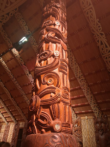 IMG_20200309_133121.jpg